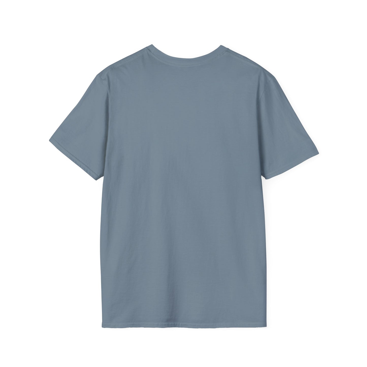 Motivational Unisex Softstyle T-Shirt - "Don't Wish, Work For It